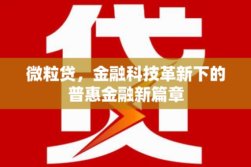 黄骅微粒贷，金融科技革新下的普惠金融新篇章