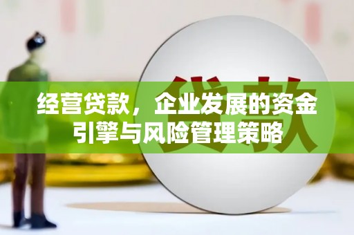 东宝经营贷款，企业发展的资金引擎与风险管理策略