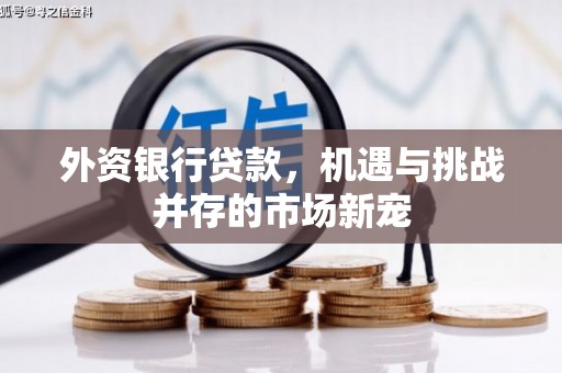 三穗外资银行贷款，机遇与挑战并存的市场新宠