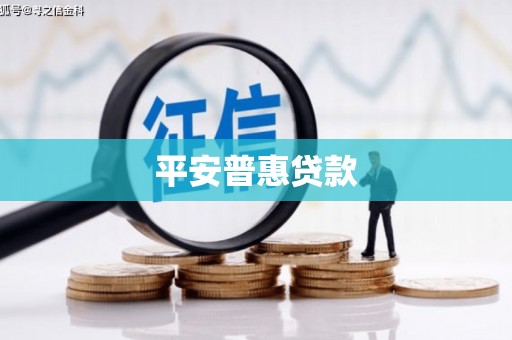 和县平安普惠贷款