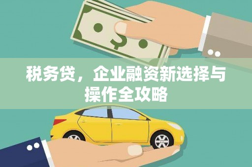 麻城税务贷，企业融资新选择与操作全攻略