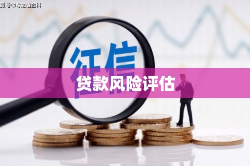 太白贷款风险评估