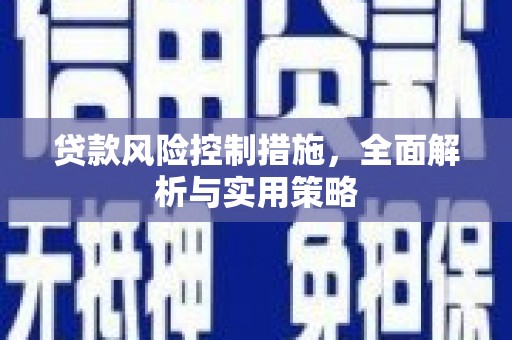 白山贷款风险控制措施，全面解析与实用策略