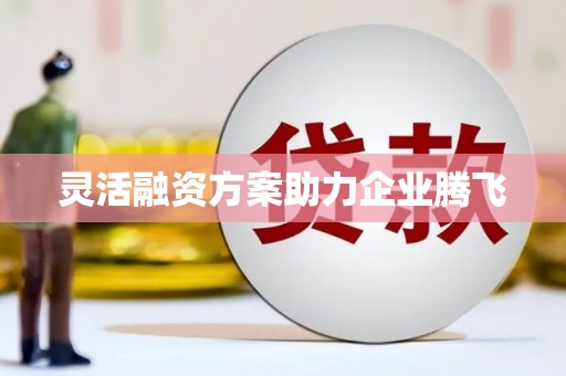 丰原灵活融资方案助力企业腾飞