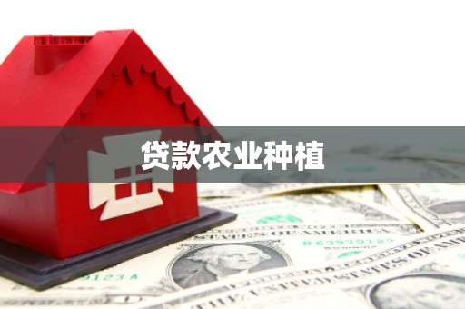 大安贷款农业种植