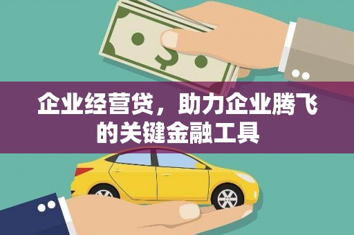 单县企业经营贷，助力企业腾飞的关键金融工具