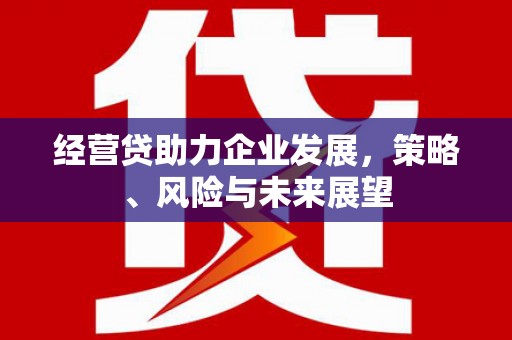 呼和浩特经营贷助力企业发展，策略、风险与未来展望