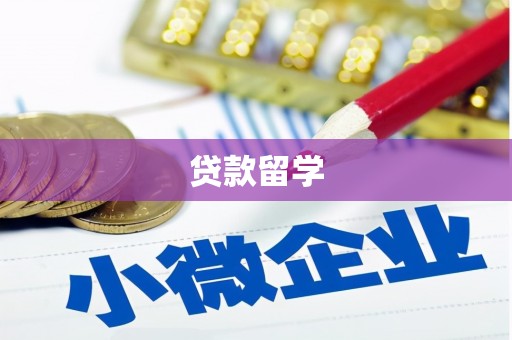 正宁贷款留学