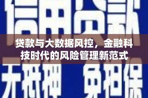单县贷款与大数据风控，金融科技时代的风险管理新范式