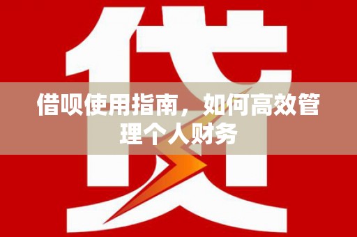 汤原借呗使用指南，如何高效管理个人财务