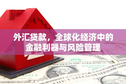 乐昌外汇贷款，全球化经济中的金融利器与风险管理