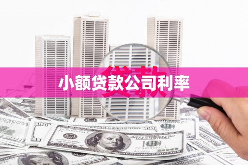 峨边小额贷款公司利率
