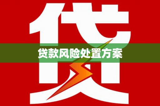 驻马店贷款风险处置方案