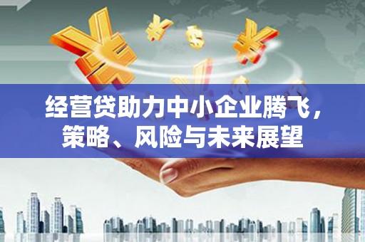 盐津经营贷助力中小企业腾飞，策略、风险与未来展望