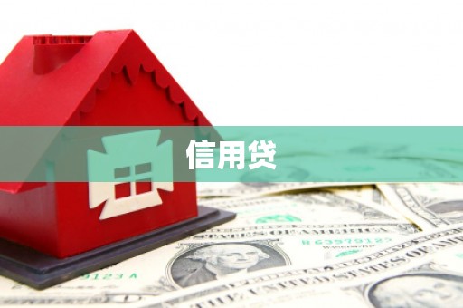 罗山信用贷