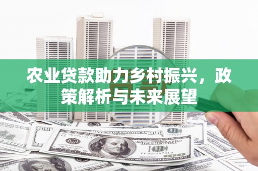 西固农业贷款助力乡村振兴，政策解析与未来展望