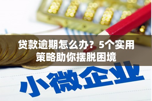 黄陂贷款逾期怎么办？5个实用策略助你摆脱困境