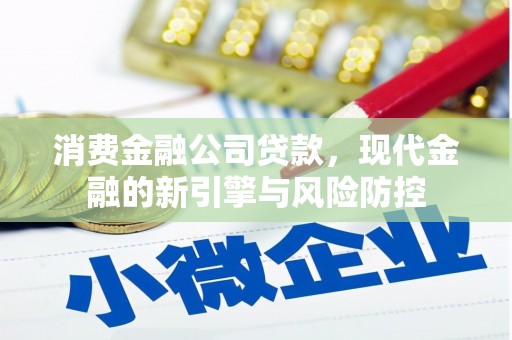 延平消费金融公司贷款，现代金融的新引擎与风险防控