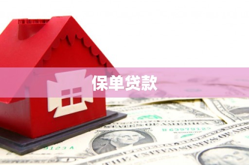木垒保单贷款