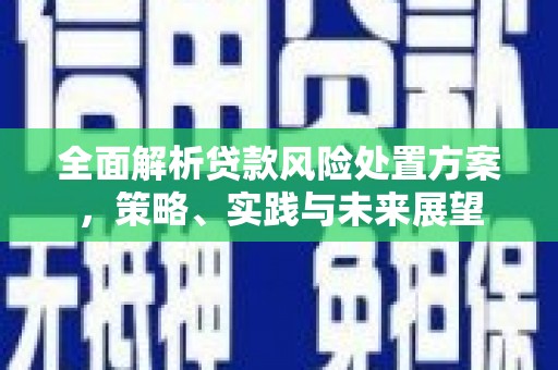 林甸全面解析贷款风险处置方案，策略、实践与未来展望