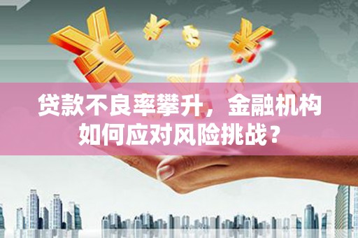 德保贷款不良率攀升，金融机构如何应对风险挑战？
