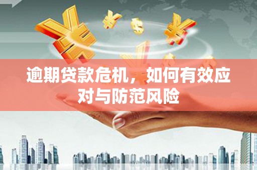 万峦逾期贷款危机，如何有效应对与防范风险
