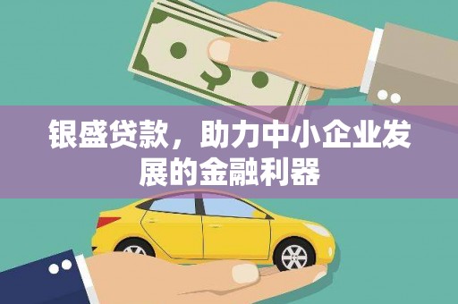 青阳银盛贷款，助力中小企业发展的金融利器
