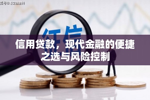 沈北新区信用贷款，现代金融的便捷之选与风险控制