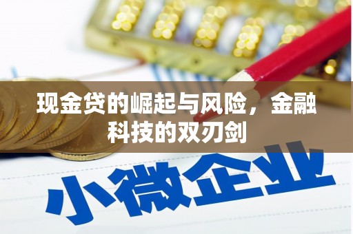 湖北现金贷的崛起与风险，金融科技的双刃剑