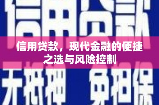 宣化信用贷款，现代金融的便捷之选与风险控制