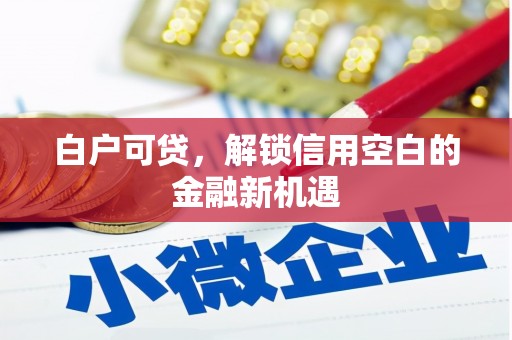 革吉白户可贷，解锁信用空白的金融新机遇