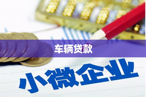 华龙车辆贷款