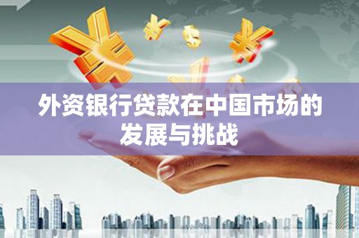 西固外资银行贷款在中国市场的发展与挑战