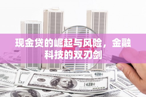 台南现金贷的崛起与风险，金融科技的双刃剑