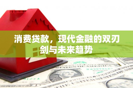 临漳消费贷款，现代金融的双刃剑与未来趋势