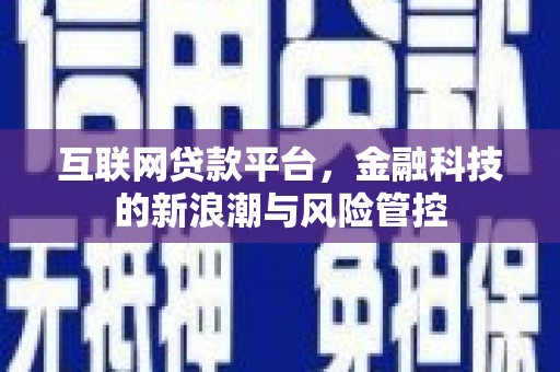 资中互联网贷款平台，金融科技的新浪潮与风险管控