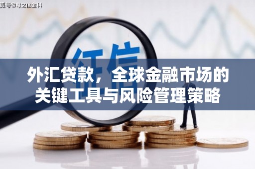 东区外汇贷款，全球金融市场的关键工具与风险管理策略