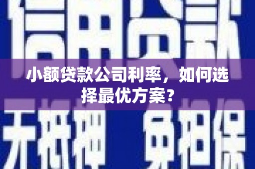 西海岸小额贷款公司利率，如何选择最优方案？