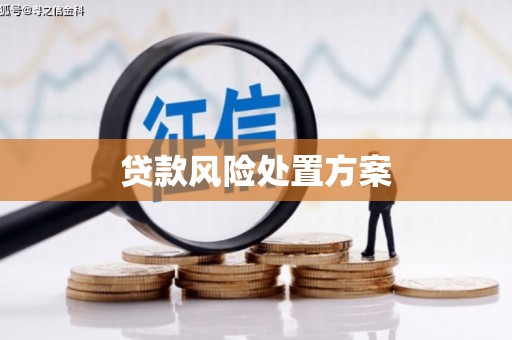 威海贷款风险处置方案