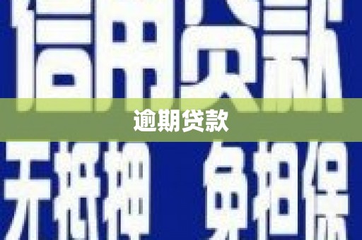 普兰逾期贷款