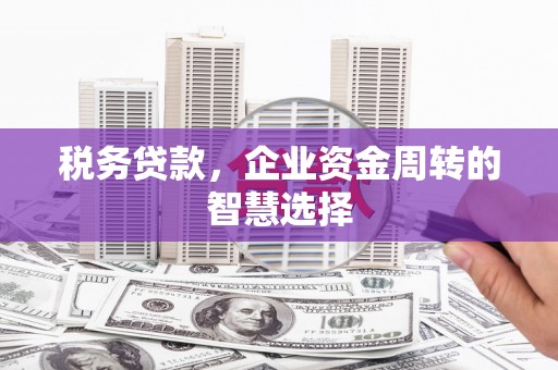 凤岗税务贷款，企业资金周转的智慧选择