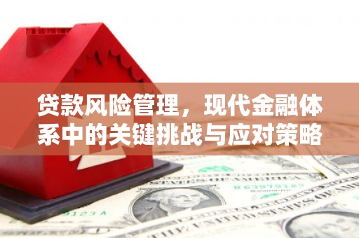 江干贷款风险管理，现代金融体系中的关键挑战与应对策略