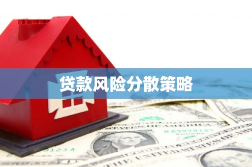 江阳贷款风险分散策略