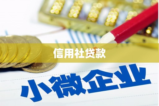 洪江信用社贷款