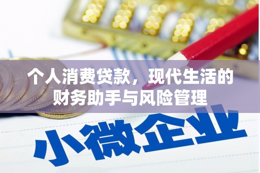 习水个人消费贷款，现代生活的财务助手与风险管理