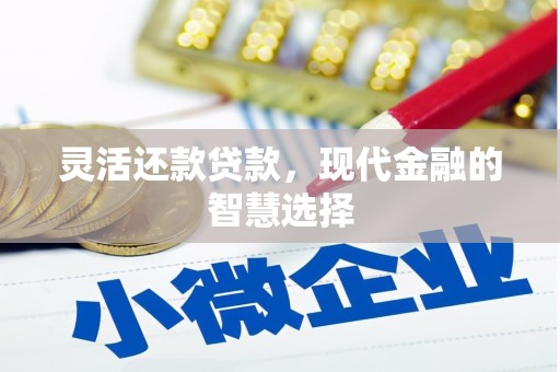 双牌灵活还款贷款，现代金融的智慧选择
