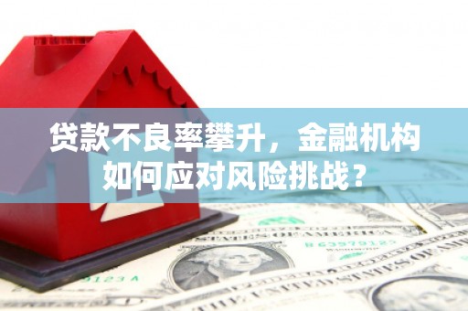 武清贷款不良率攀升，金融机构如何应对风险挑战？