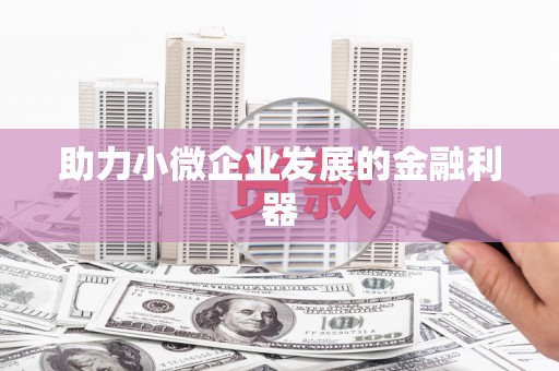 田林助力小微企业发展的金融利器