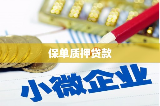林甸保单质押贷款