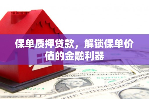 昆都仑保单质押贷款，解锁保单价值的金融利器